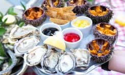 «Море-море»: четверги с морепродуктами на веранде MODUS