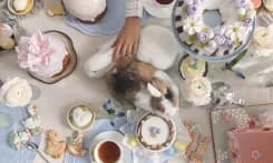 Пасхальная коллекция Ribambelle: куличи, краффины и пряничный домик