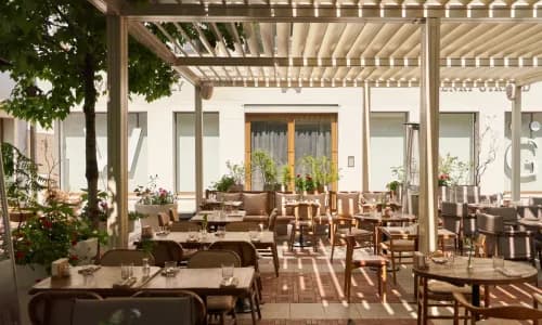 Share bistro открыл зелёный двор и добавил летние блюда